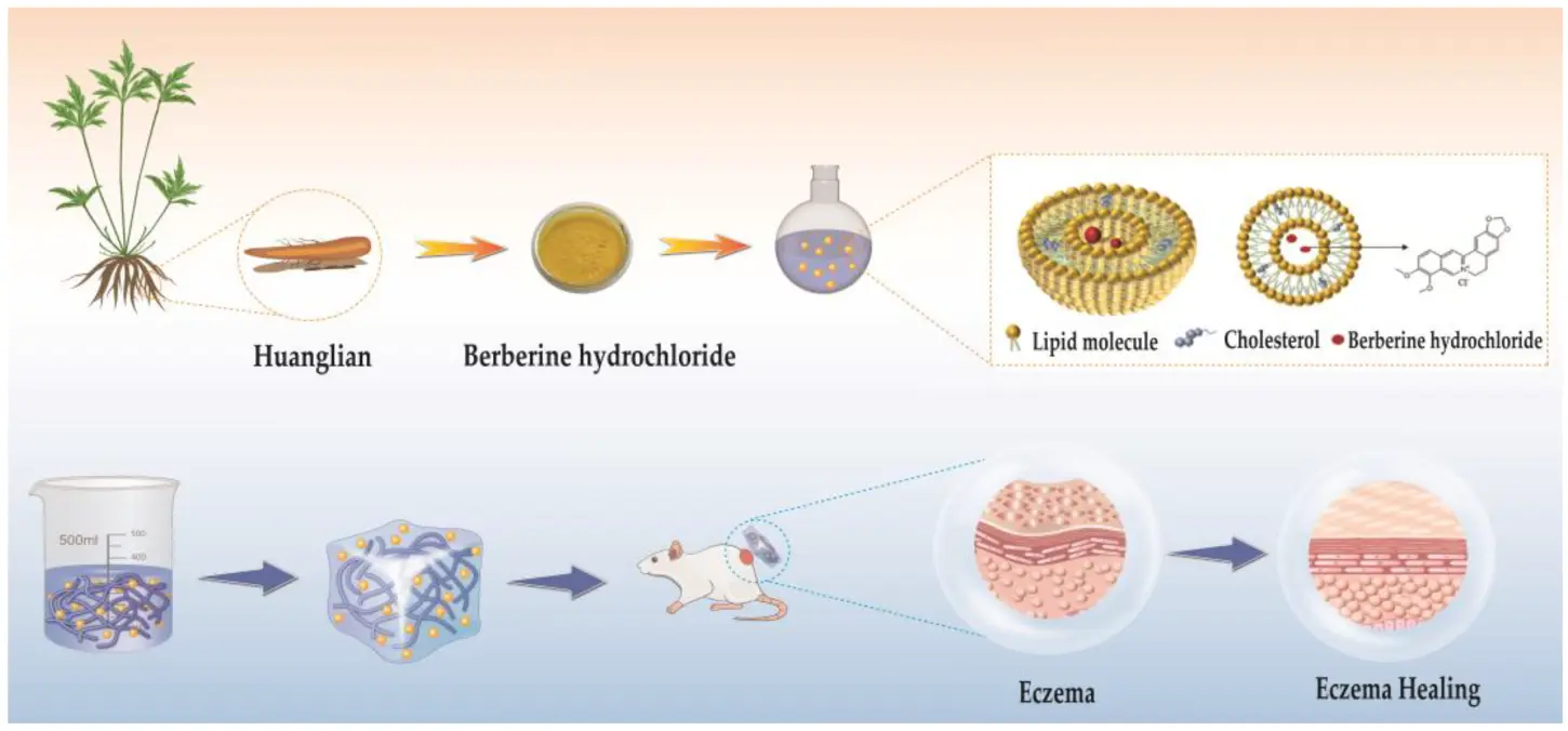 Berberine hydrochloride Berberine hydrochloride