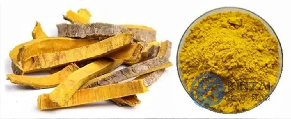 KINTAI Berberine hydrochloride