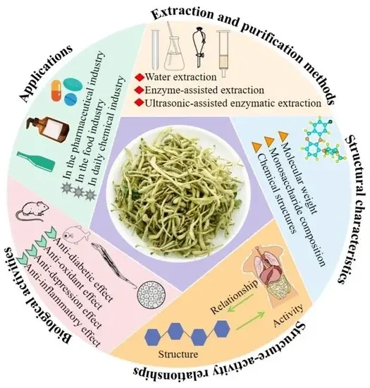 Lonicera Japonica in Skincare