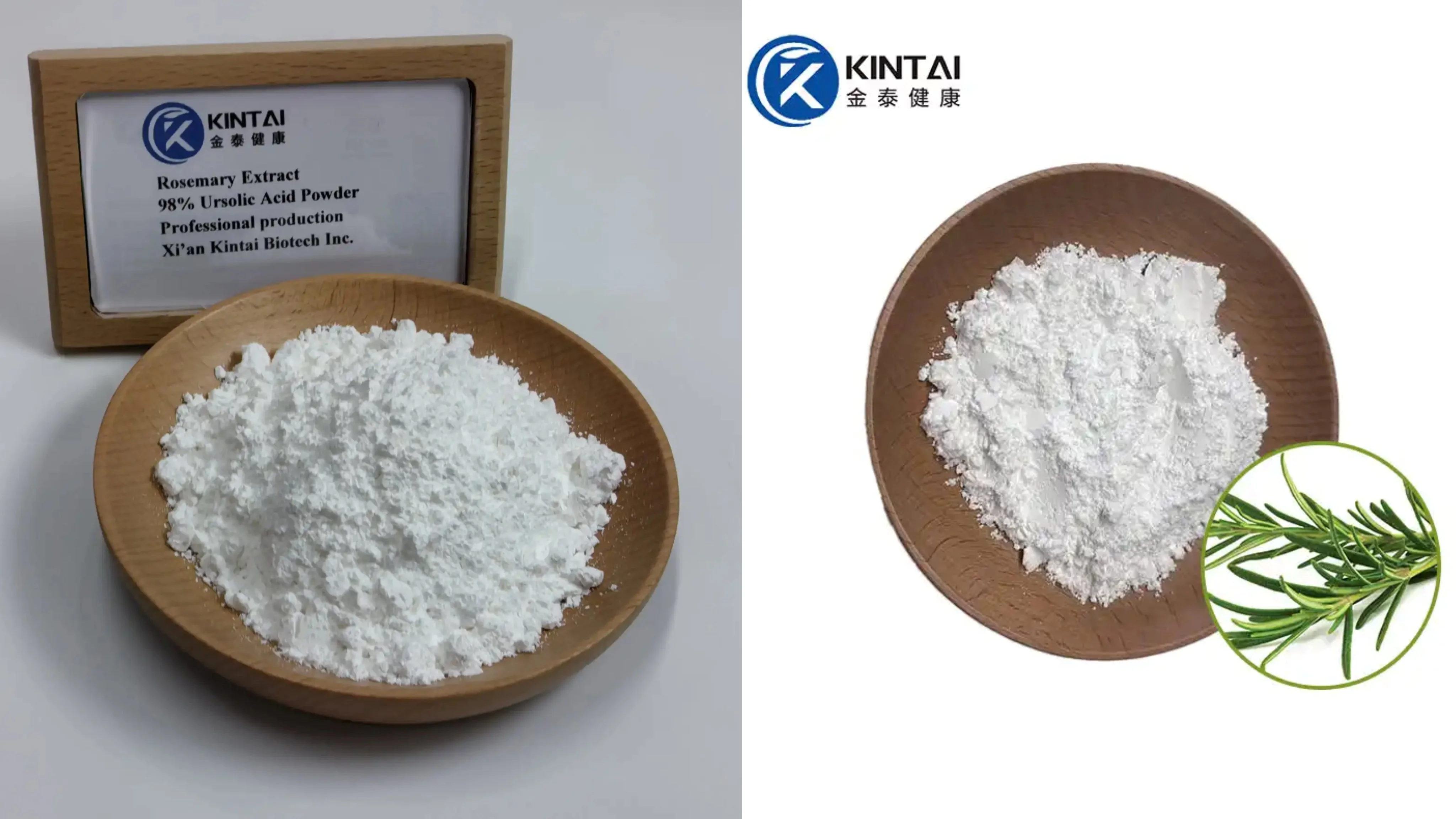 KINTAI rosemary extract powder KINTAI rosemary extract powder