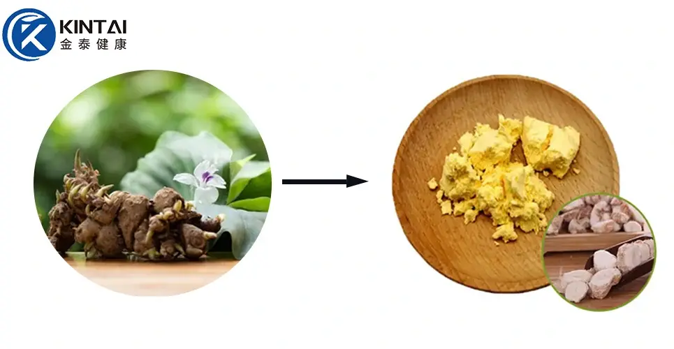 Kaempferol Powder Kaempferol Powder