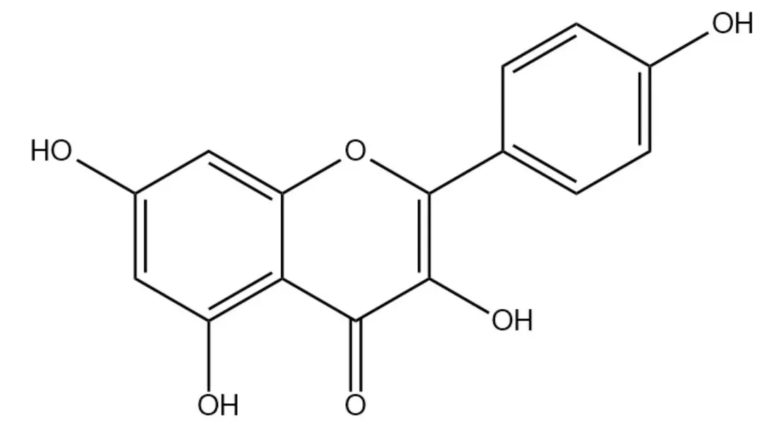 product-1-1 product-1-1