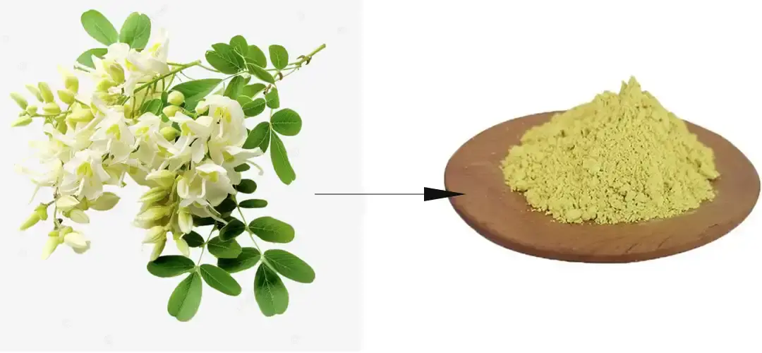 product-1-1 product-1-1