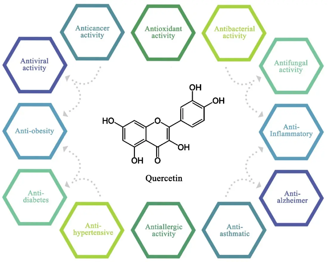 product-1-1 product-1-1