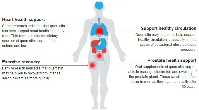 Quercetin Powder Uses Quercetin Powder Uses