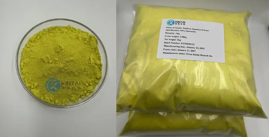 KINTAI Sophora Japonica Extract Quercetin
