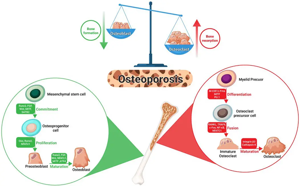 Pharmaceuticals and Healthcare Products Pharmaceuticals and Healthcare Products