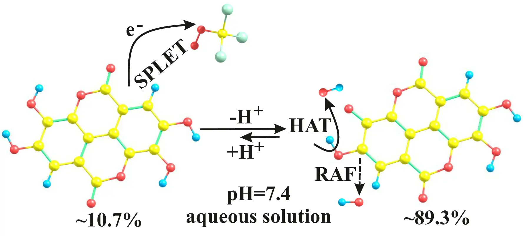 Ellagic Acid Benefits