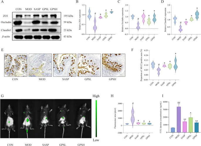 liver protection and bile promotion liver protection and bile promotion