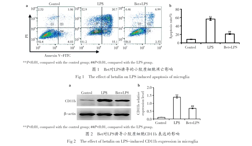 The effect of betulin on LPS