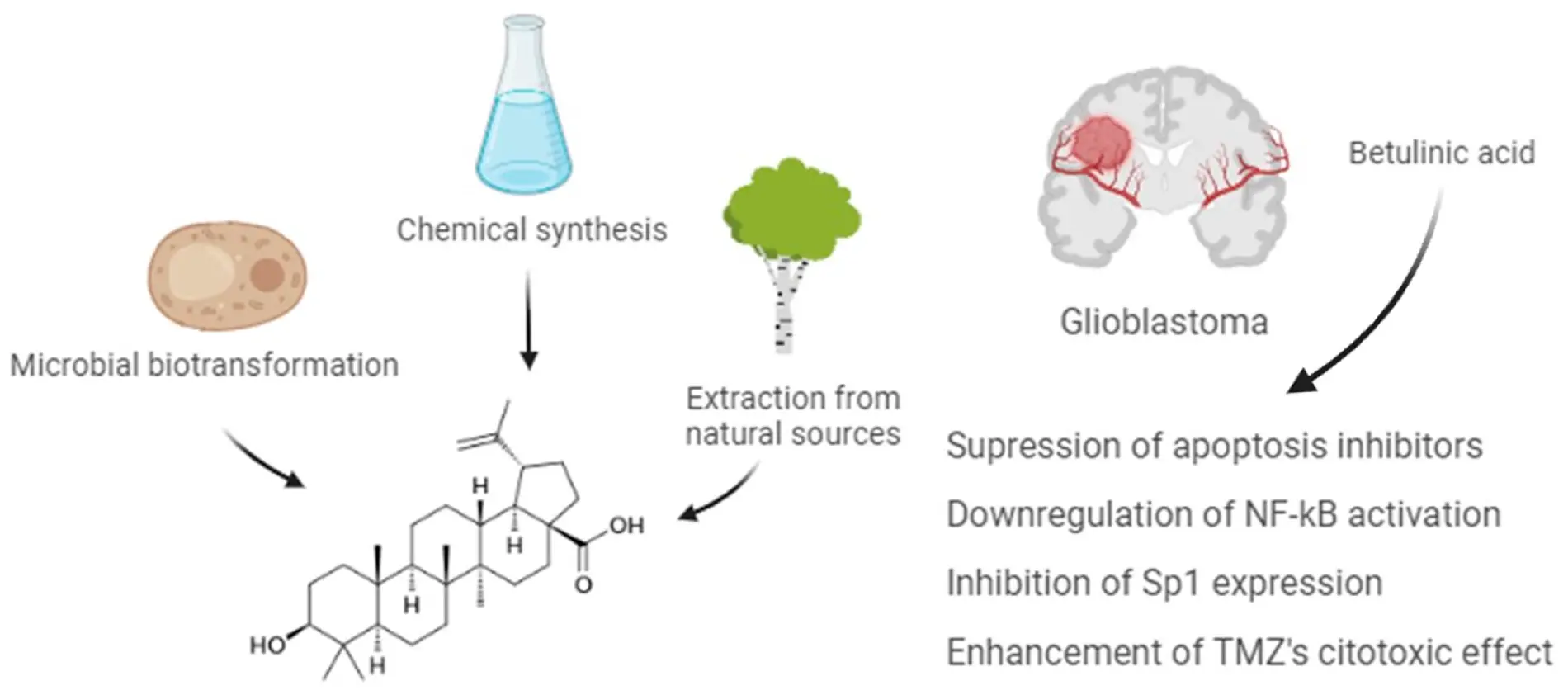 betulinic acid betulinic acid