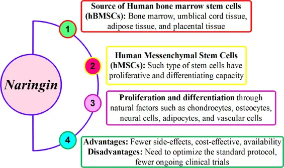 APPLICATIONS APPLICATIONS
