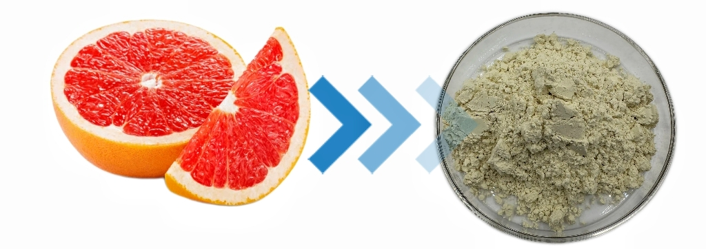 Naringin Extract Powder