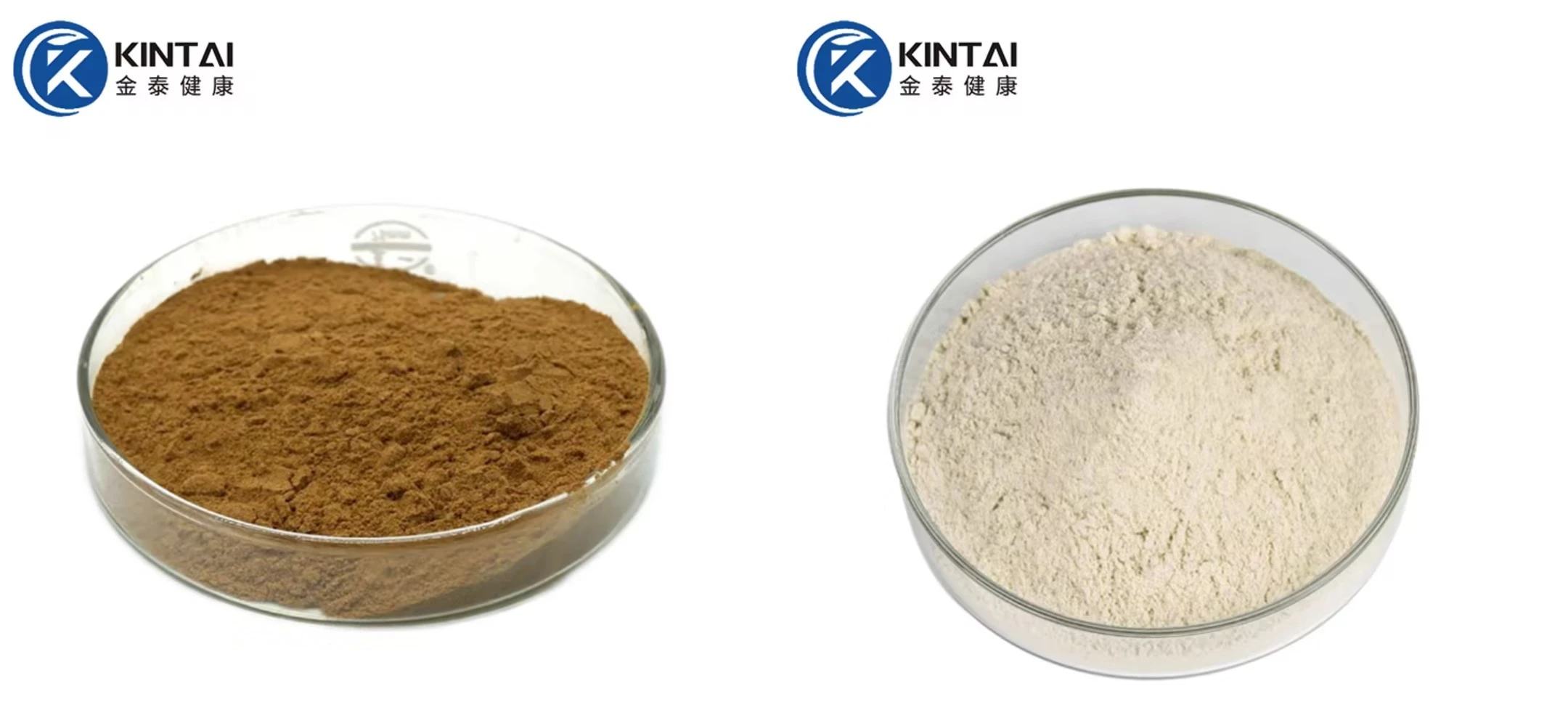 Horse chestnut extract aescin(escin) powder