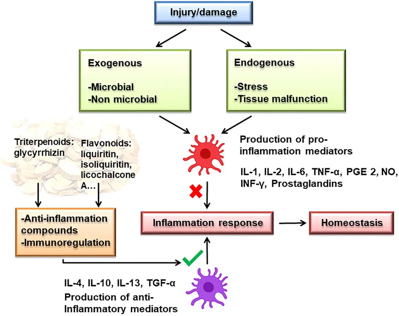 What does licorice extract do for skin?