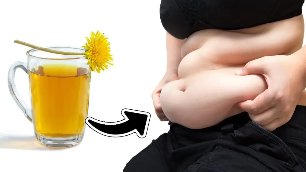 Is dandelion good for Weight Loss? Is dandelion good for Weight Loss?