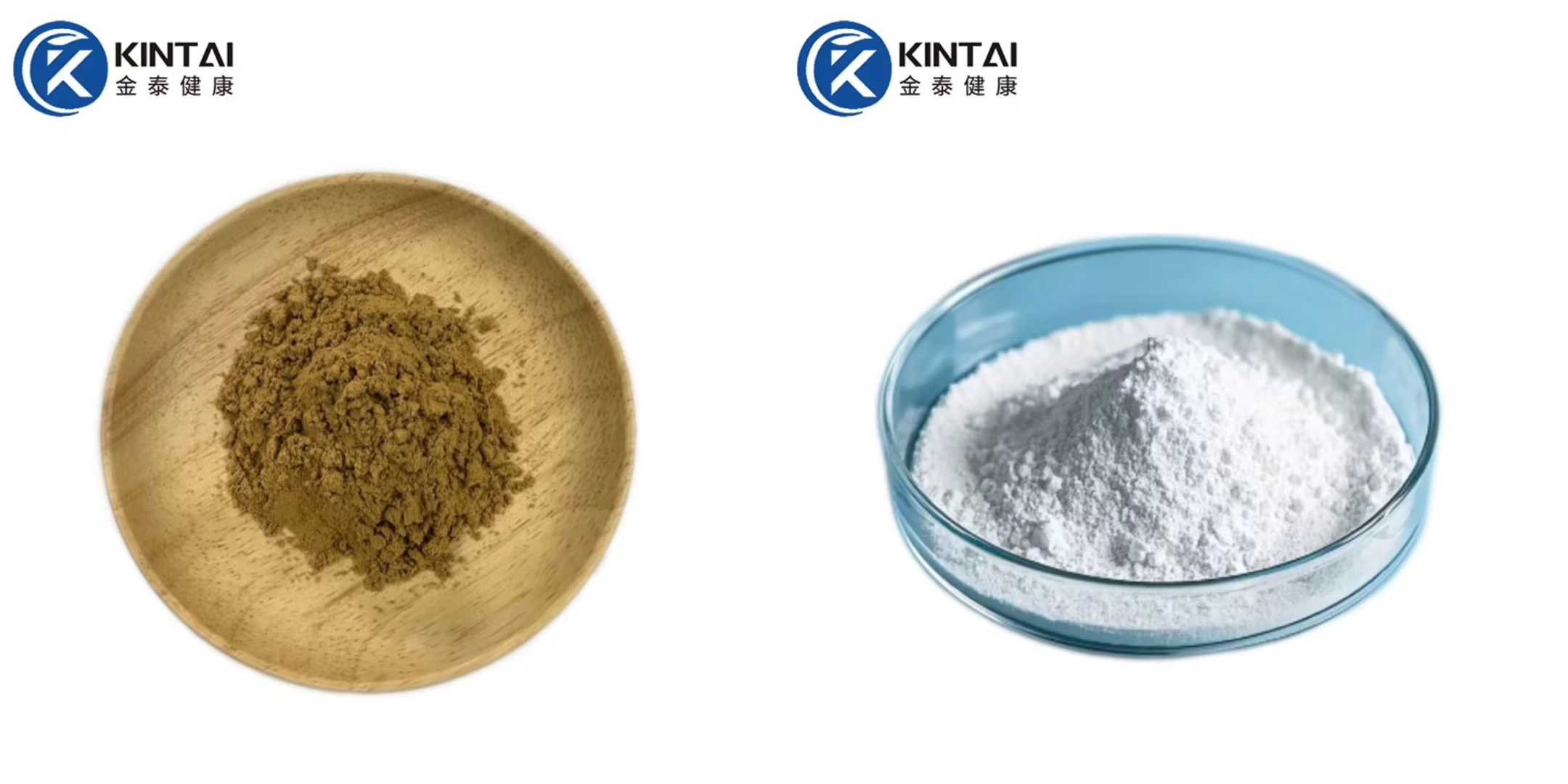 Bitter Almond Extract Amygdalin Powder Manufacturer