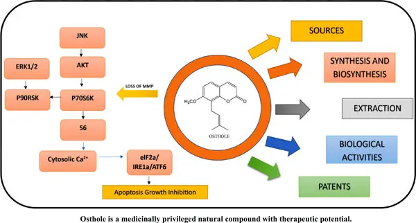 Cnidium Monnieri benefits for skin