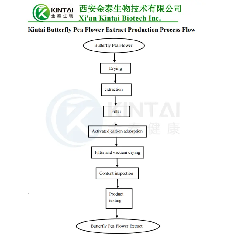 Butterfly Pea Flower Extraction Process