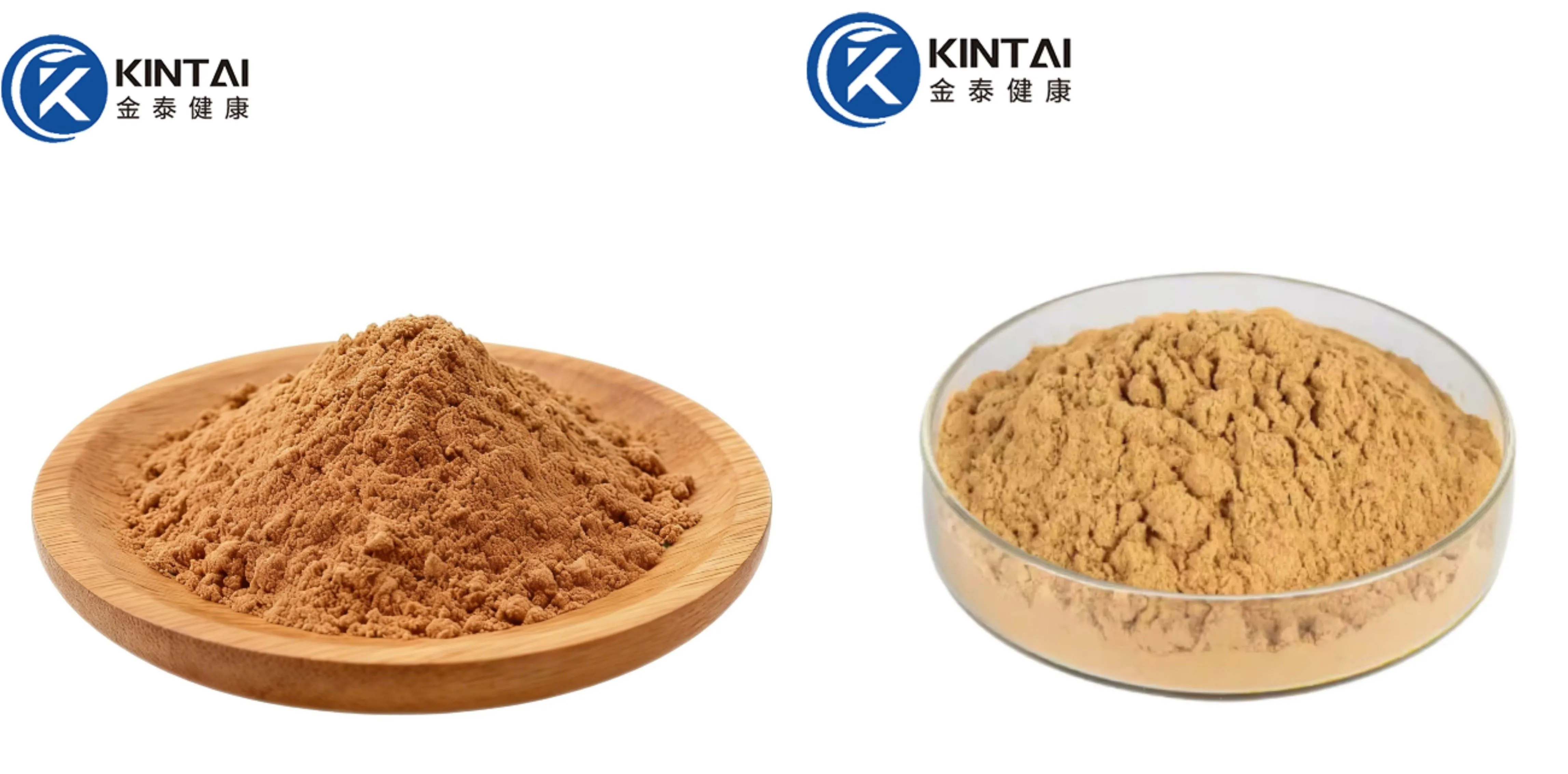 Yucca Extract Powder Factory/Manufacturer Yucca Extract Powder Factory/Manufacturer