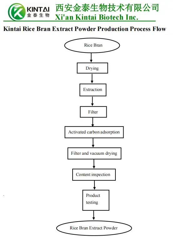Rice Bran Extraction Process