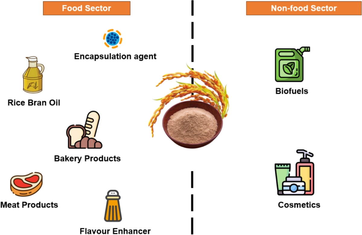Rice bran extract for baking industry