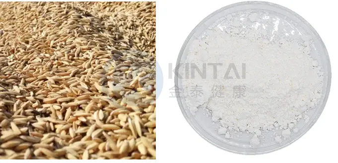 Healthkintai® Ceramides Plant Source