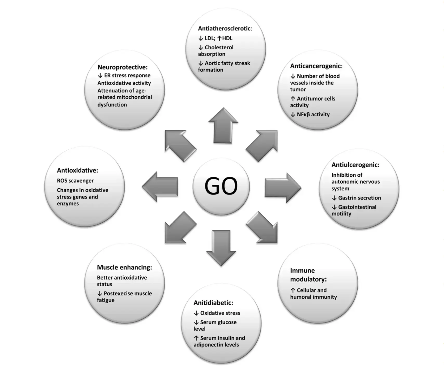 Why should Gamma oryzanol be your choice for horse health management?