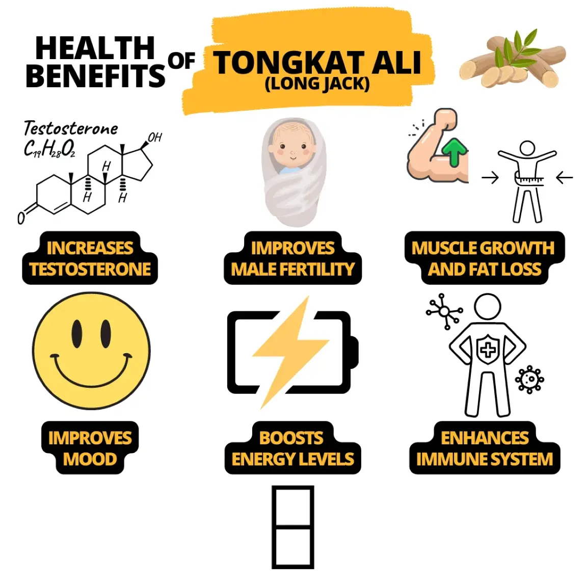 What Are the Benefits of Tongkat Ali Extract for Men? What Are the Benefits of Tongkat Ali Extract for Men?