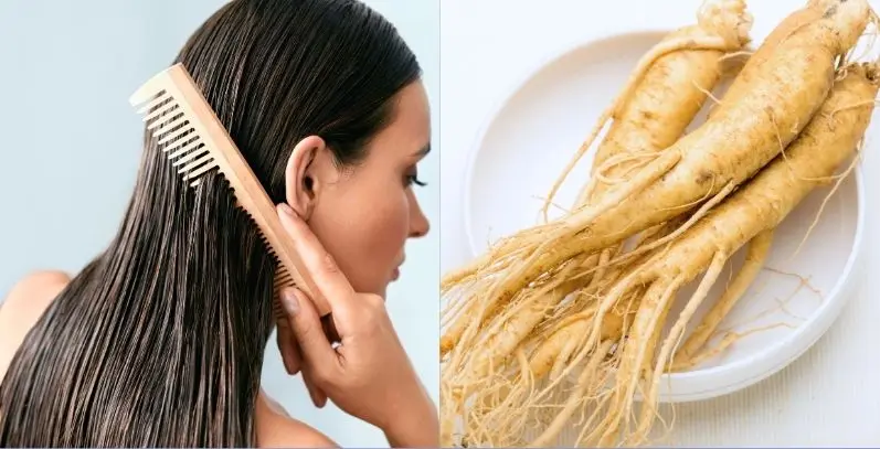 Ginseng Extract for Hair Ginseng Extract for Hair