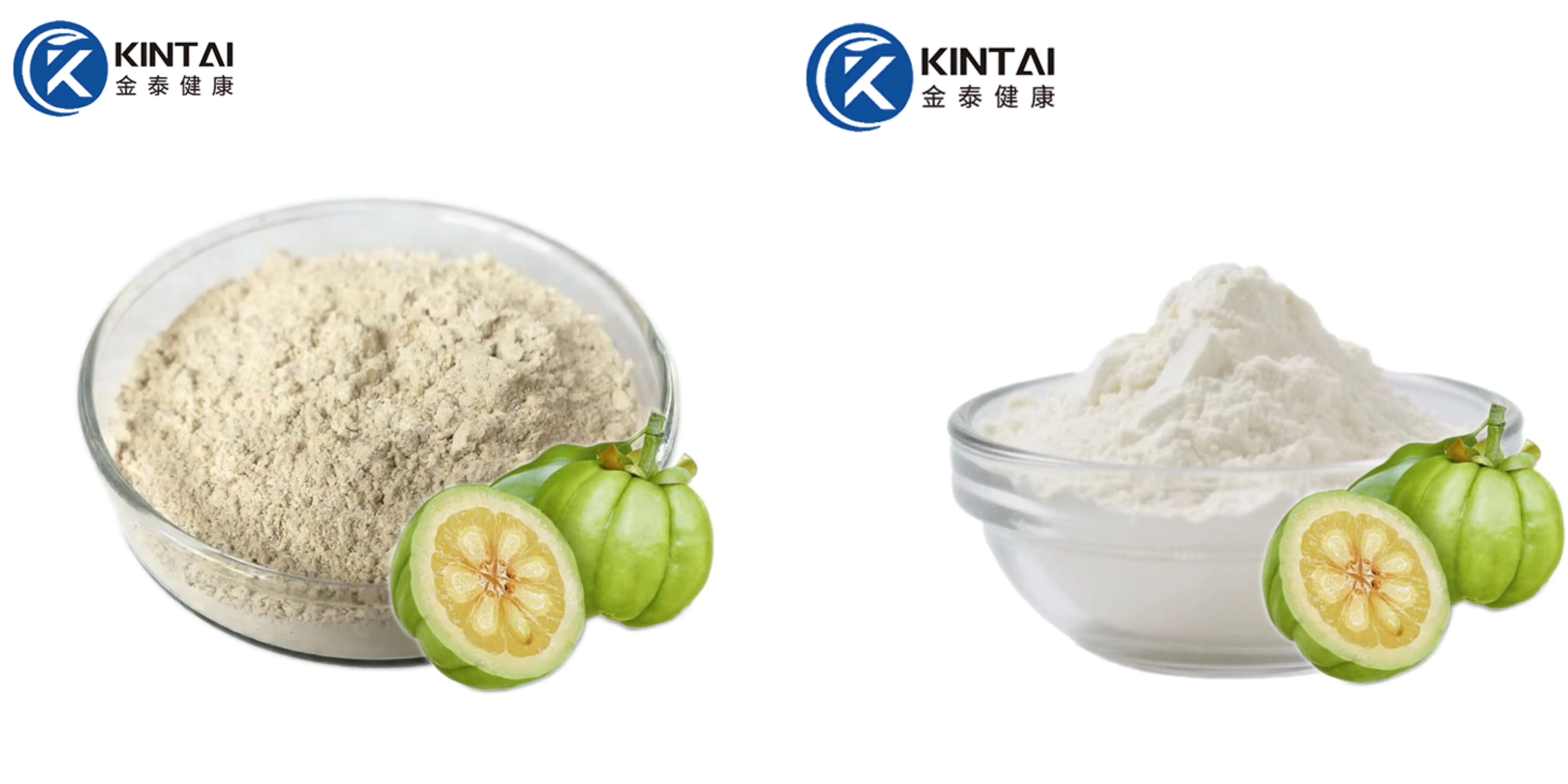 Garcinia cambogia extract powder