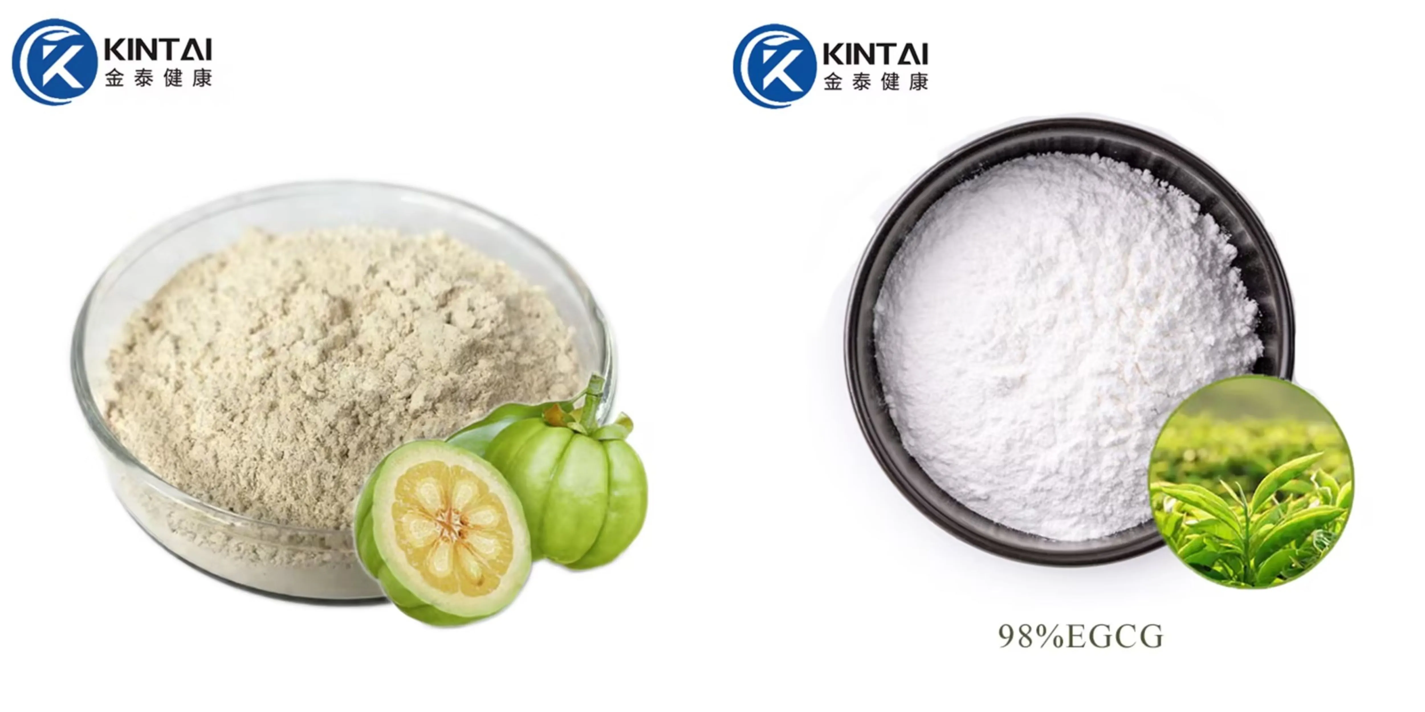 Garcinia Cambogia and Green Tea Extract