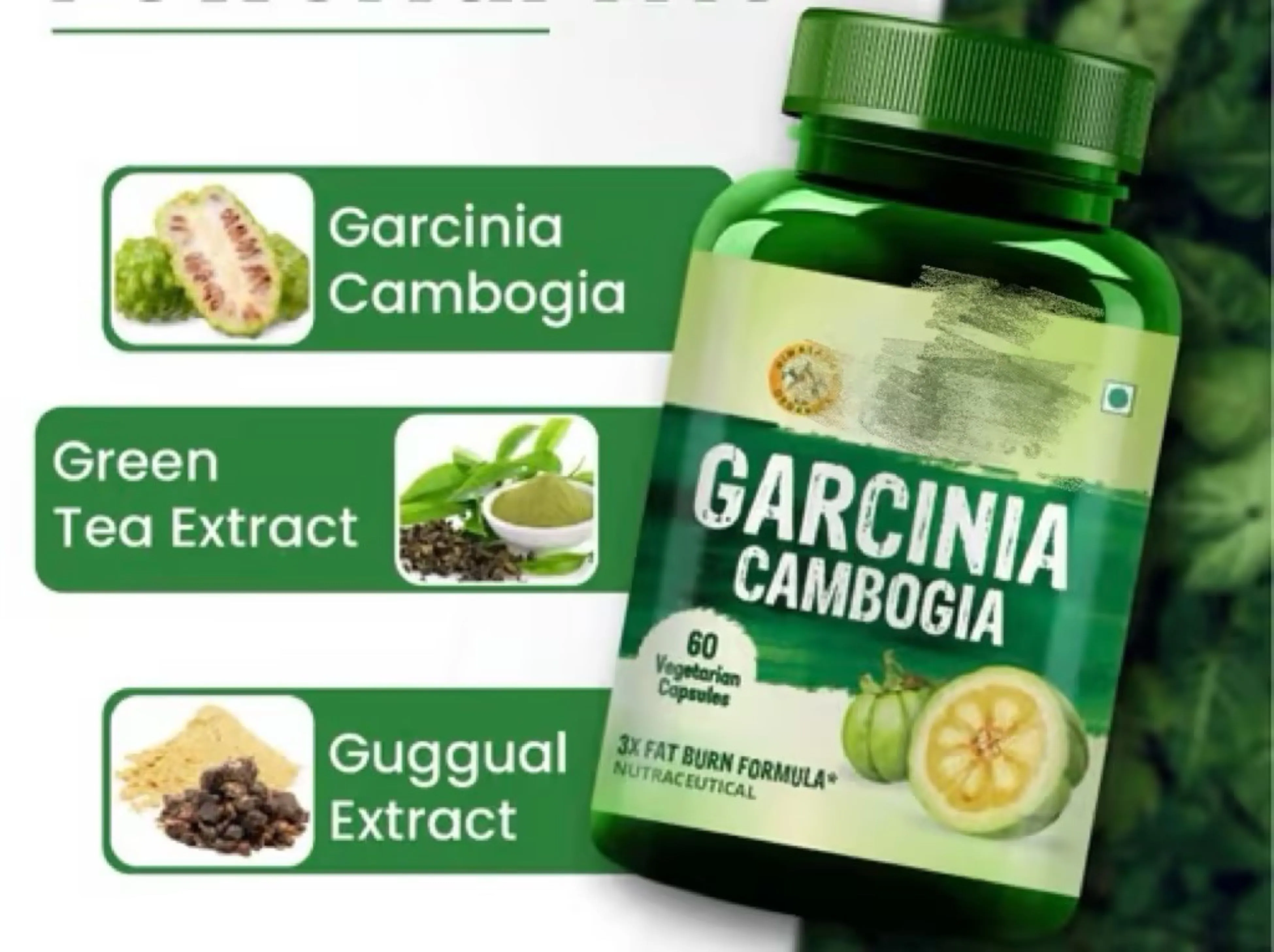 Garcinia Cambogia and Green Tea Extract