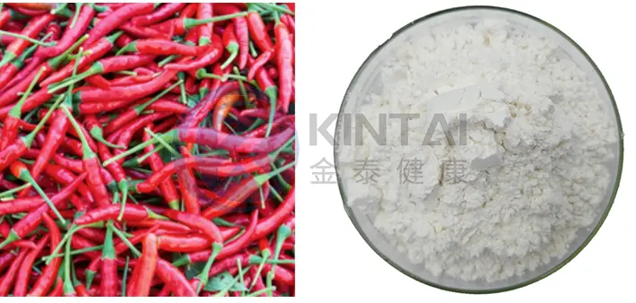 Capsaicin Powder