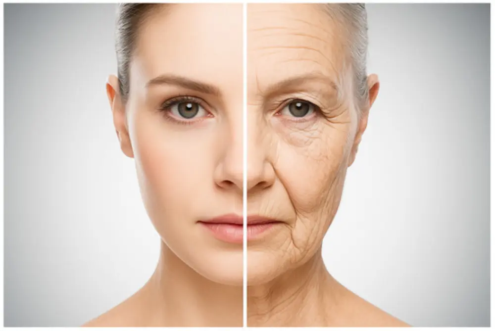 Mangosteen Peel Extract Benefits for Skin Mangosteen Peel Extract Benefits for Skin