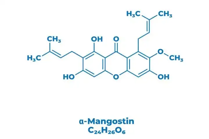 Alpha Mangostin Solubility