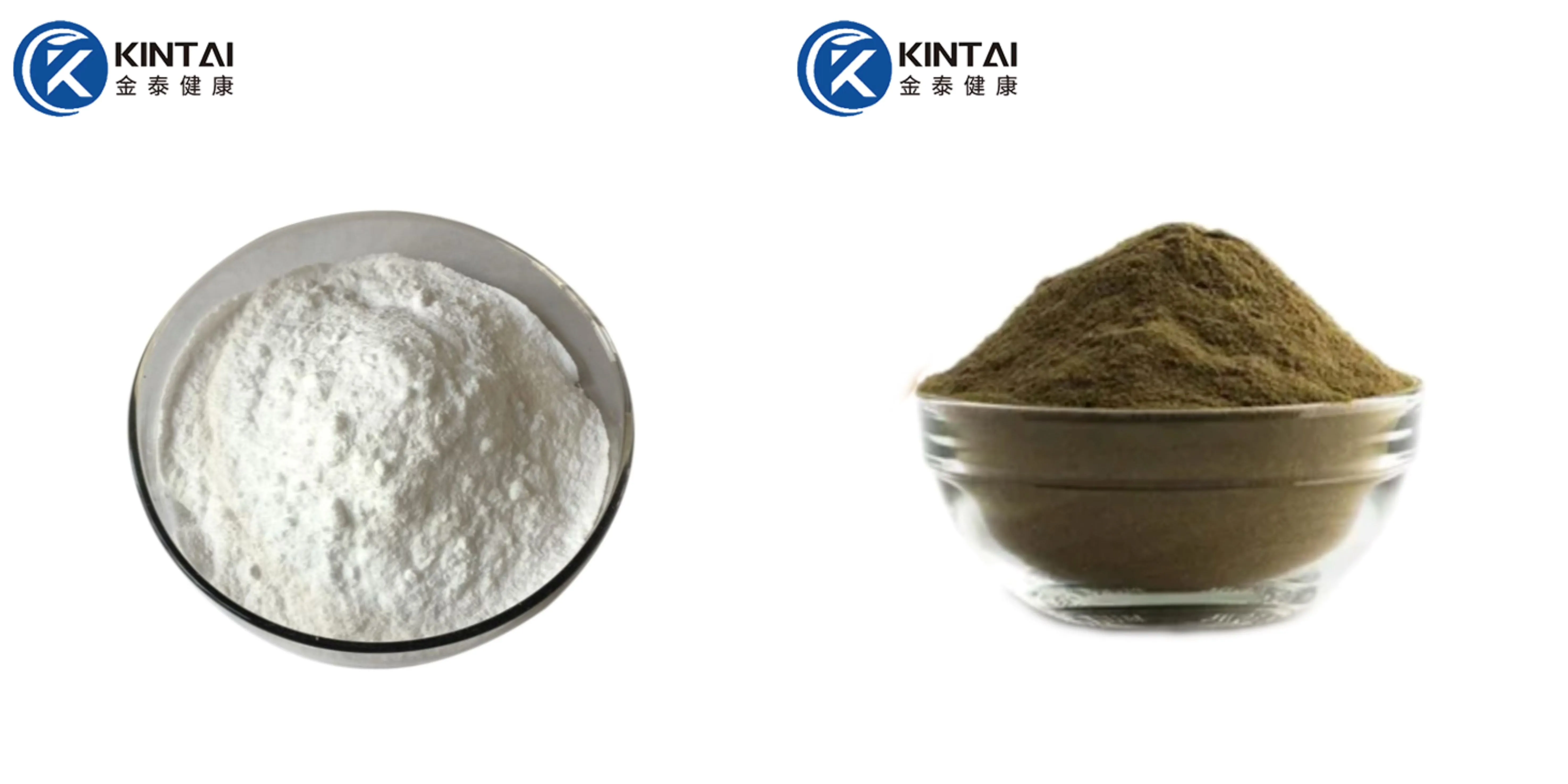 Black Sesame Extract Powder Supplier/Manufacturer Black Sesame Extract Powder Supplier/Manufacturer