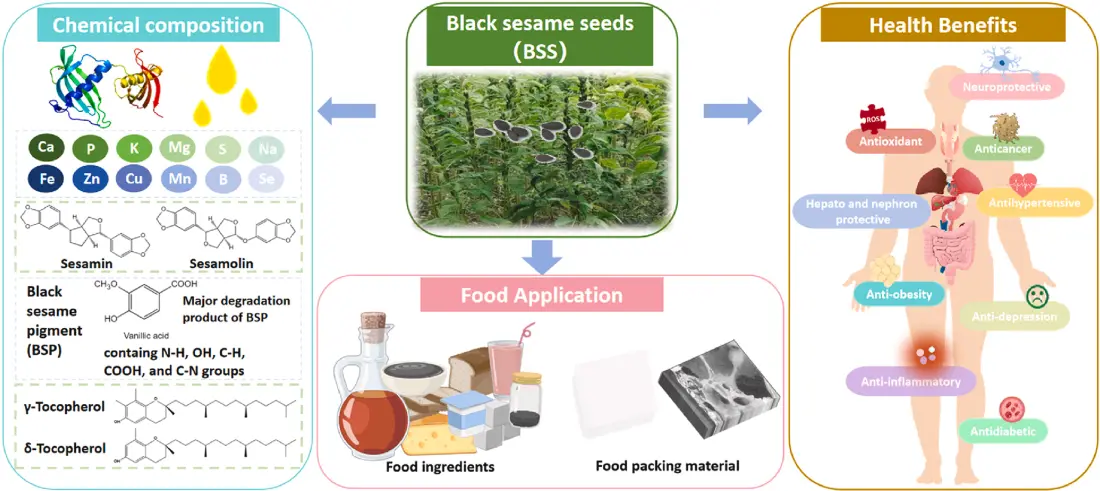 product-1-1 product-1-1