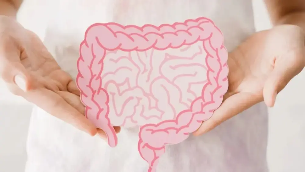 Cassia Seed Extract Benefits