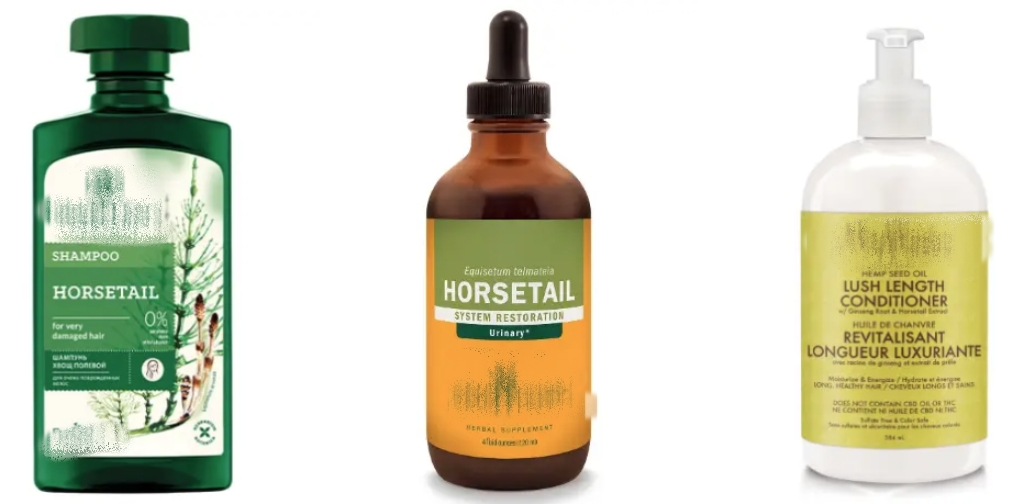 How to use Horsetail Extract for hair growth? How to use Horsetail Extract for hair growth?