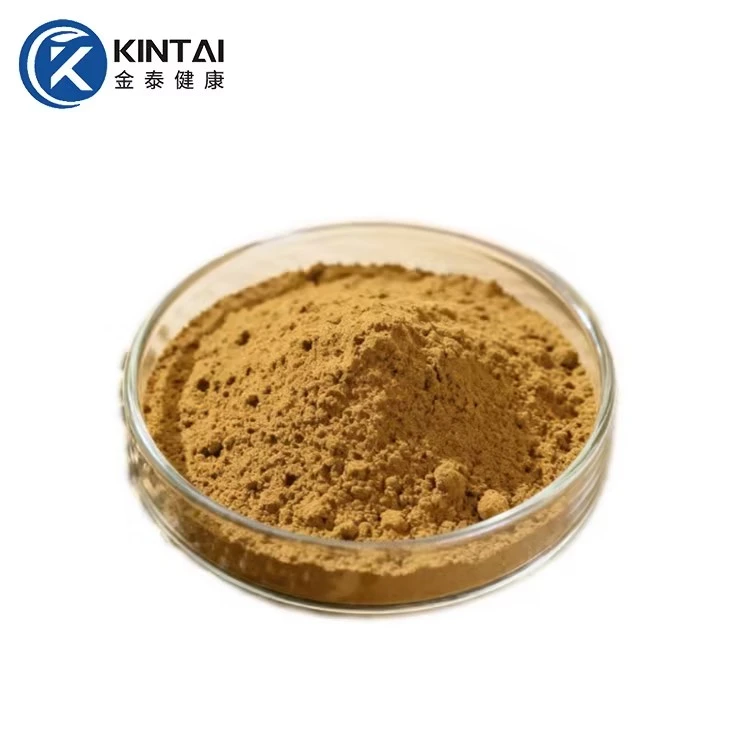 Cassia Seed Extract Total Anthraquinone powder