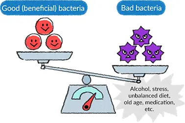 Total Anthraquinones —The “Natural Core Power” for Purgation