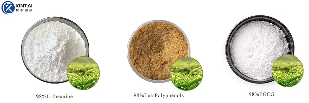 Green Tea Extract Green Tea Extract
