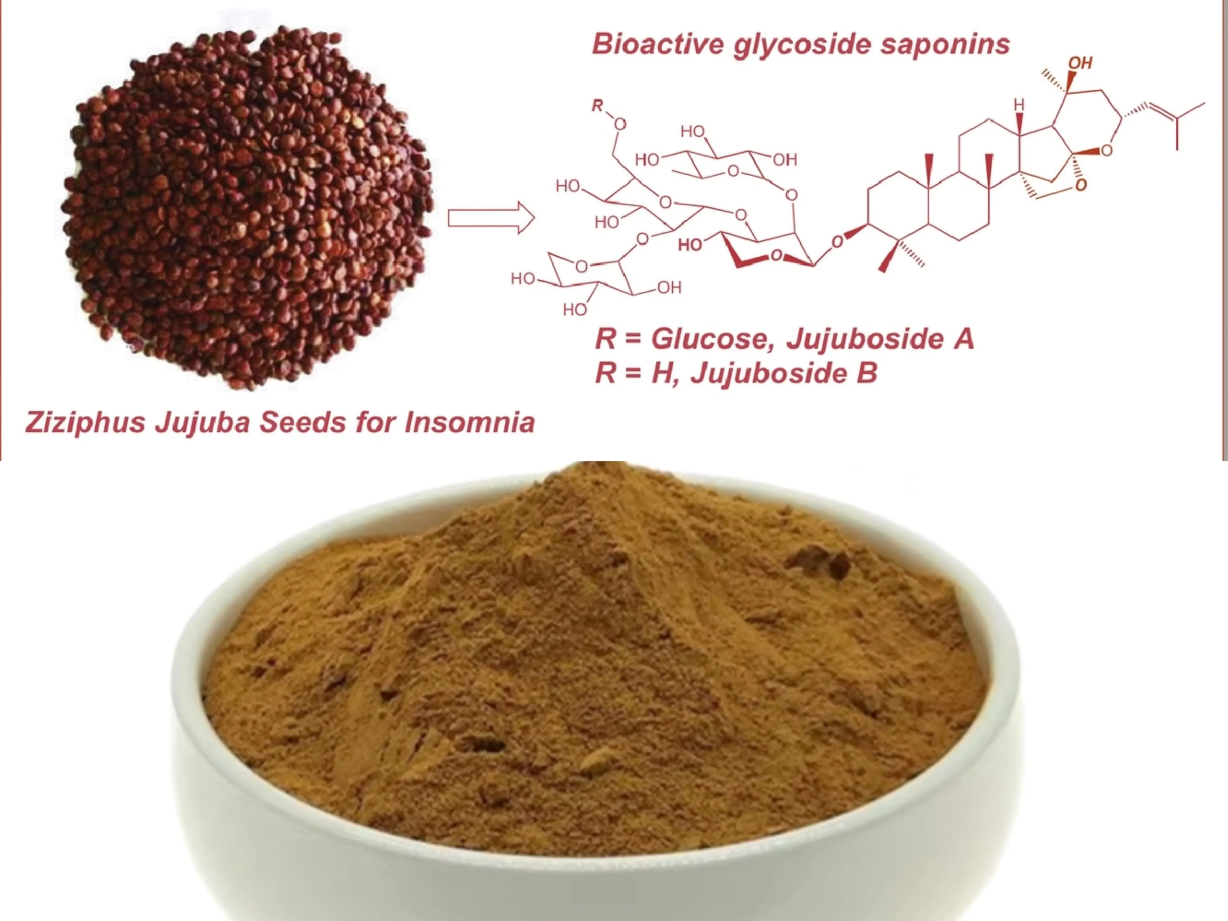 Spine Date Seed Extract Supplier/Manufacturer/Factory