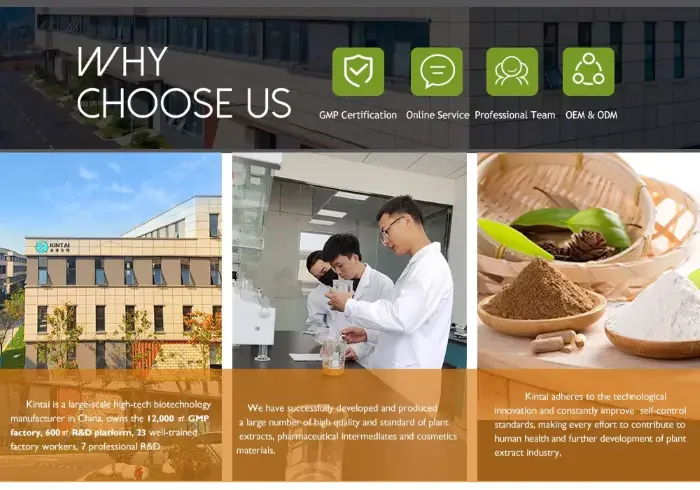 Where to Buy Spine Date Seed Extract Where to Buy Spine Date Seed Extract