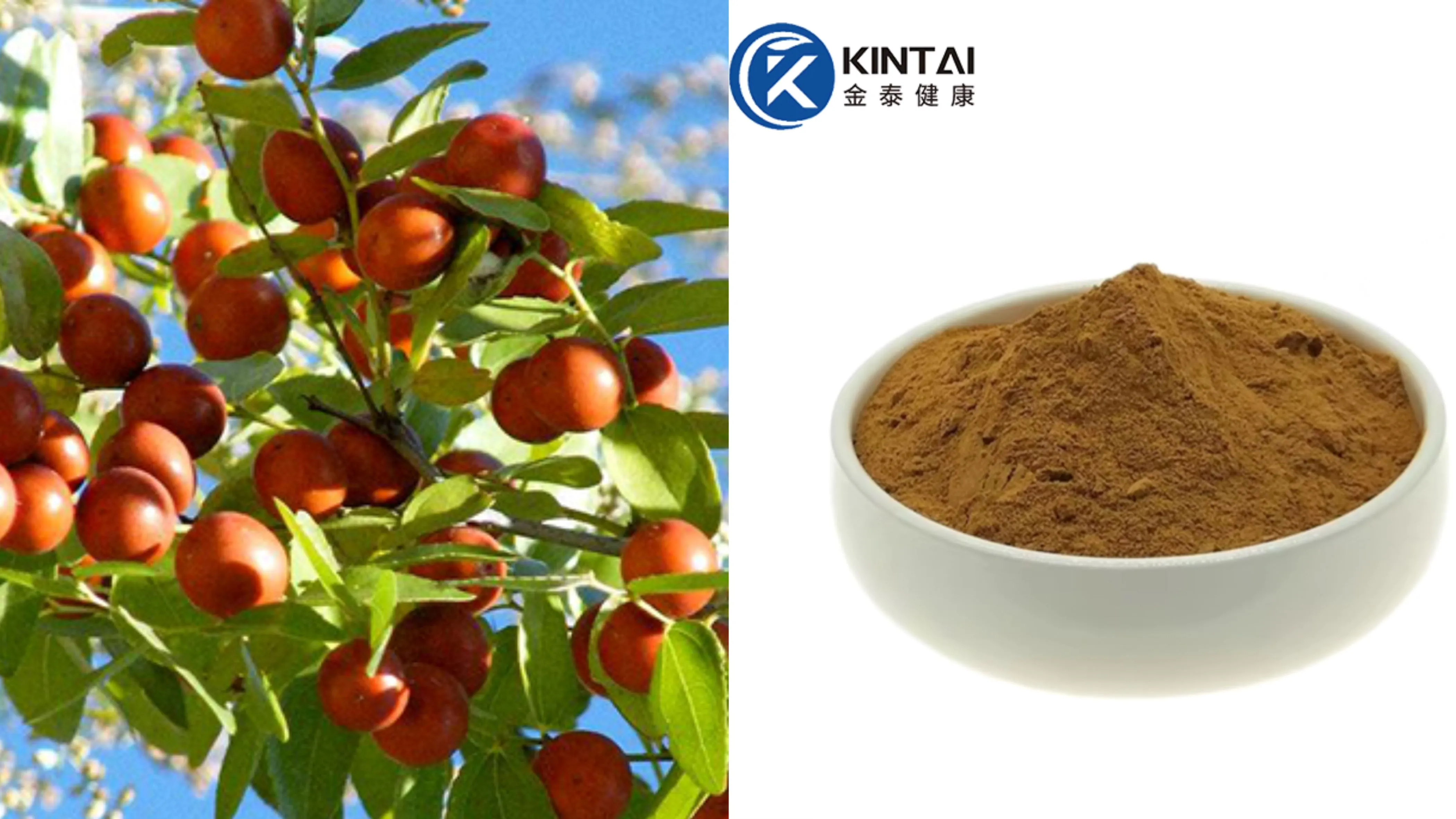 Sour jujube seed extract powder