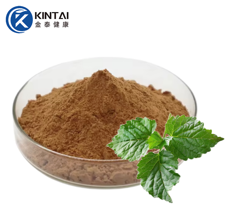 mulberry leaf extract powder mulberry leaf extract powder