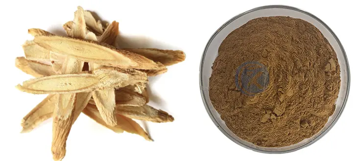 Astragalus Extract Astragalus Extract
