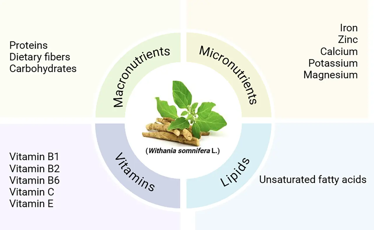 Ashwagandha benefits