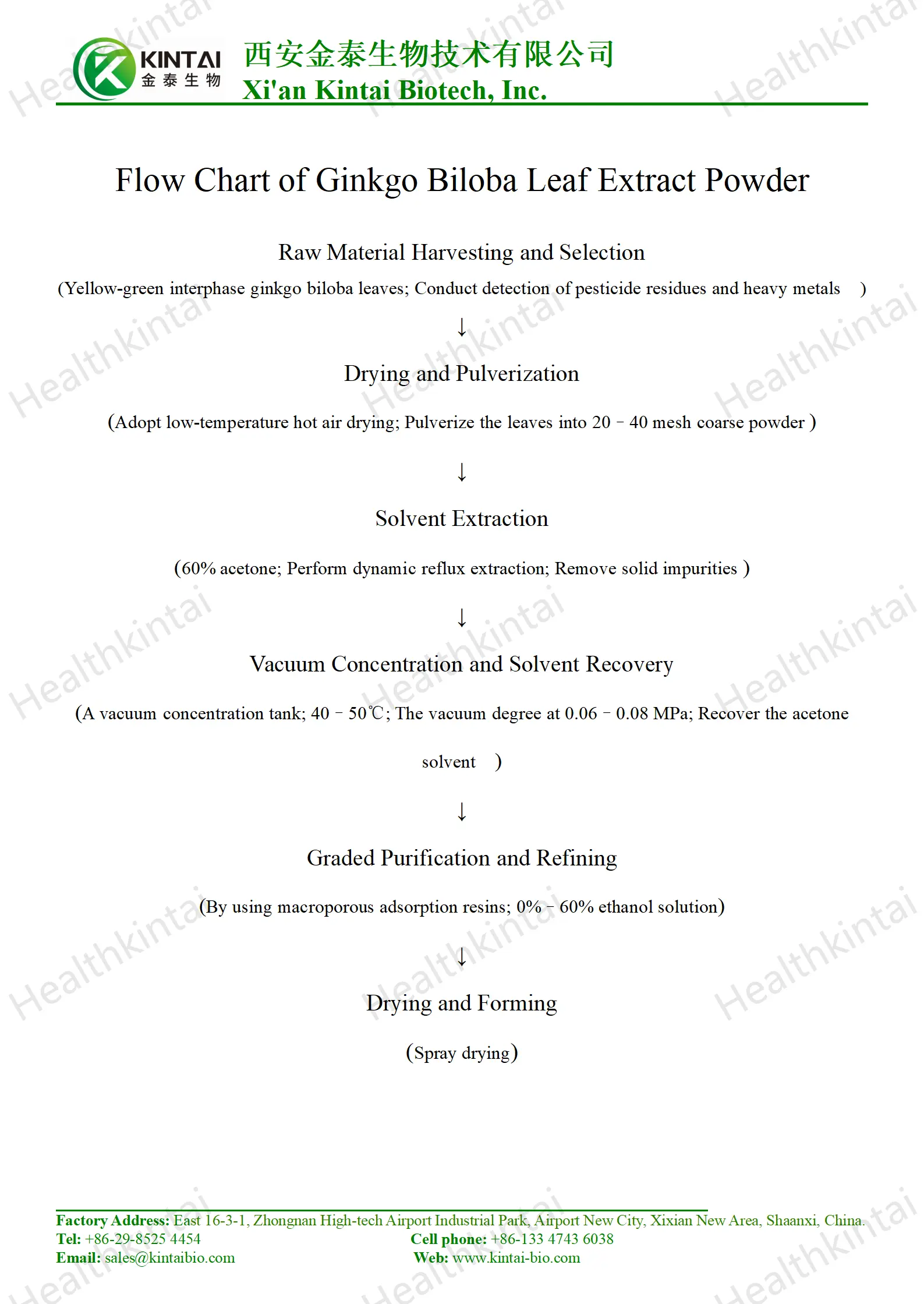 How to Make Ginkgo Biloba Leaf Extract? How to Make Ginkgo Biloba Leaf Extract?